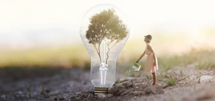 Девушка поливает дерево в лампочке