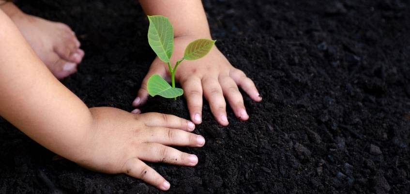 Ребенок сажает растение